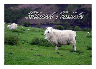 Blessed Imbolc Sheep
