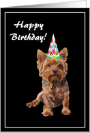 Happy Birthday Yorkshire Terrier with Birthday Hat card