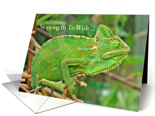 Lizard Happy 10th Birthday card (1369134)