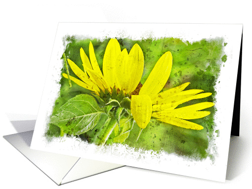 Wild Sunflower Blank Note card (783990)