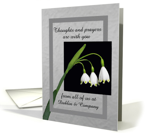 Sympathy - thoughts and prayers from all of us - Lily of... (1369728)