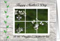 Mother’s Day card for daughter’s mother-in-law, Dogwood flowers card