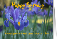 Sentimental Happy Birthday Iris Inspirational Card