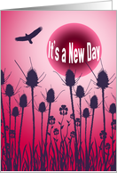 Divorce finalization, It’s a new day, pink dawn,thistles,bird,dawn, card