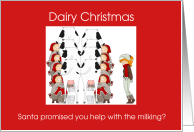 Dairy Christmas farmer greeting, elves milking, card