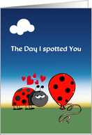 Ladybug Valentine’s Day humor, The day I spotted you, card