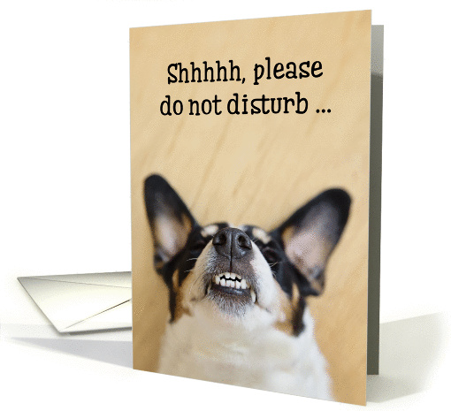 Funny Birthday Card - Dog with Goofy Grin card (1078112)