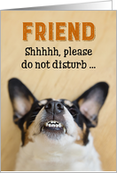 Friend - Funny Birthday Card - Dog with Goofy Grin card