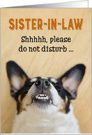 Sister-in-Law - Funny Birthday Card - Dog with Goofy Grin card