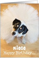 Niece Humorous Birthday Card - Dog Wearing a Tutu card