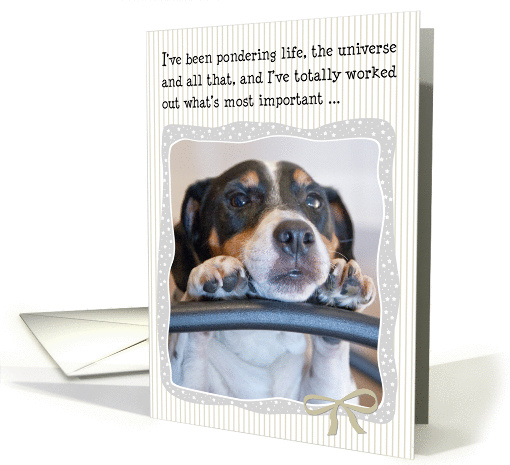 Humorous Christmas Card - Dog Pondering Life,The Universe... (1135728)