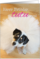 Humorous Birthday Card - Dog Wearing a Tutu card