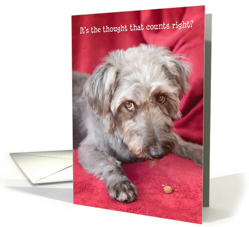 Humorous Birthday Card - Cheeky Pup Eats Half the Treat card (1178530)