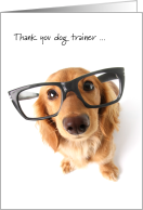 Thank You Dog Trainer - Cute Dog Wearing Large Glasses card