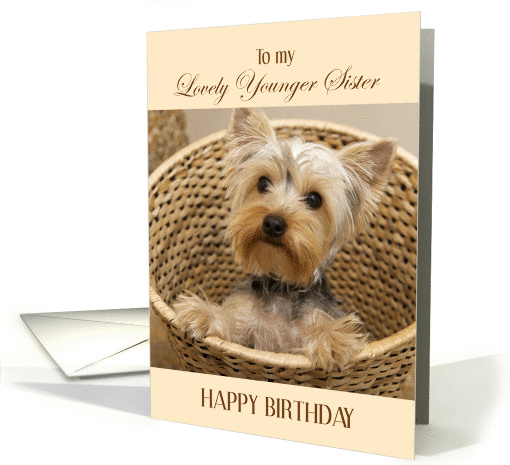 Birthday Card for Younger Sister - Yorkshire Terrier Puppy card