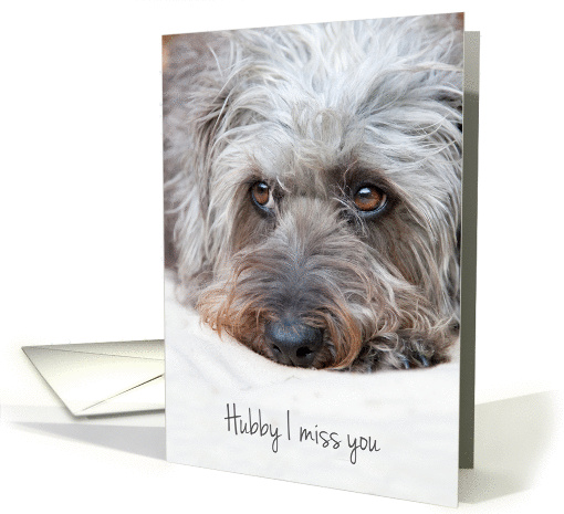 Husband Miss You Card - Cute Pup in Thoughtful Pose card (1266438)