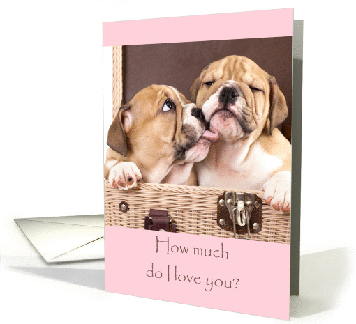 Cute Puppies Valentines card (1267356)
