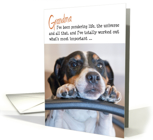 Grandma Birthday Card - Humorous Dog Pondering Life card (1288884)
