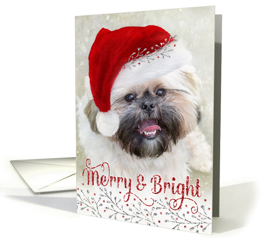 Cute Christmas Card - Shih Tzu in Santa Hat - Merry and Bright card