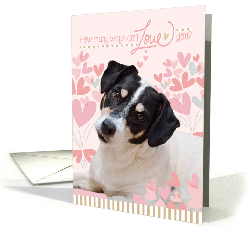 Cute Dog Valentine's Card - How Many Ways Do I Love You card (1352444)