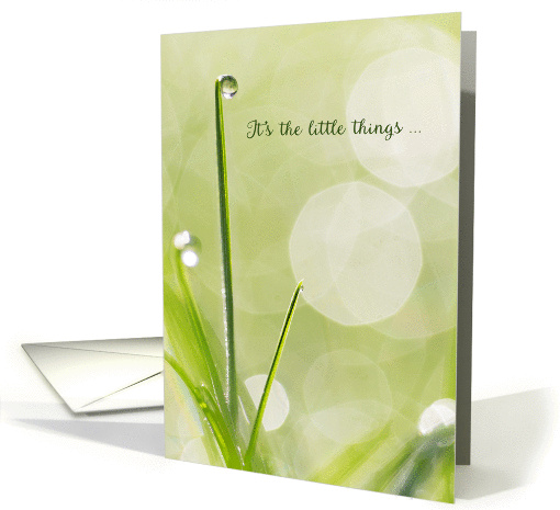 Sympathy Thank You Card - Dewdrop on a Blade of Grass card (1368382)