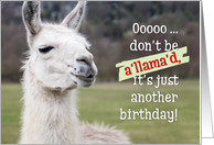 Humorous Birthday Card - The Happy Llama card