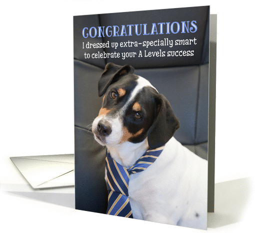 Humorous A Level Congratulations - Dog Wearing Smart Tie card