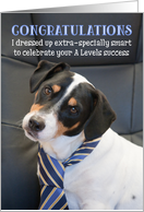 Humorous A Level Congratulations - Dog Wearing Smart Tie card