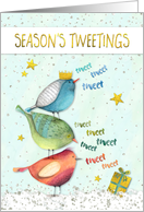 Funny Christmas Card - Seasons Tweetings card