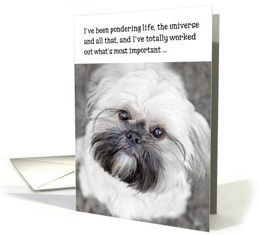 Funny Birthday Card - Shih Tzu Pondering Life and The Universe card