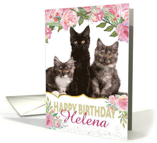 Custom Birthday Card - Add Own Photo and Name - Pretty... (1406282)