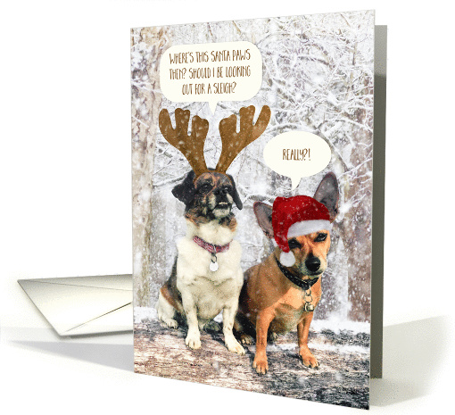 Funny Dog Christmas Card - Snowy Scene and The Santa Paws Mystery card