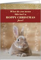 Funny Christmas Card - Bunny Hoppy Christmas Face card