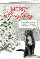 Dog Waiting for Santa Funny Christmas card