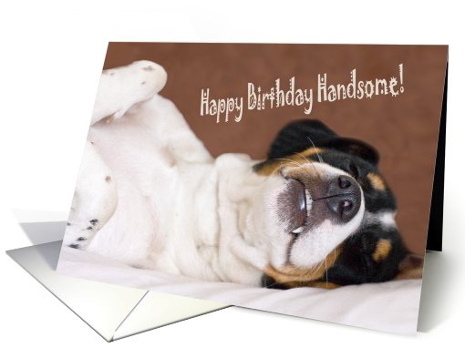 Birthday Card - Humorous Snoozing Dog card (793812)