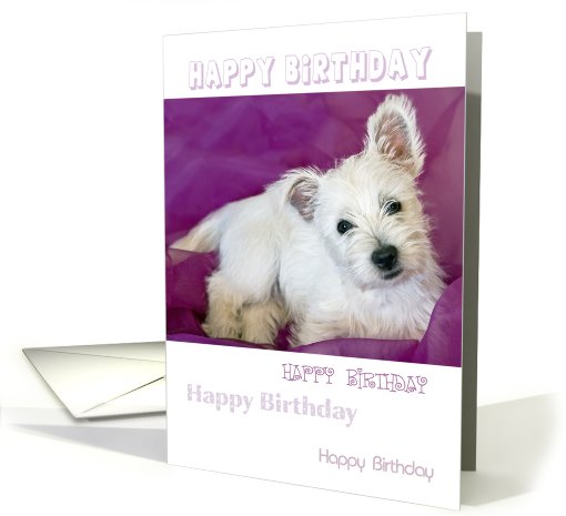 Birthday Card - Cute West Highland Terrier Puppy card (795006)