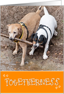 Togetherness Card - Two Dogs Sharing A Stick card