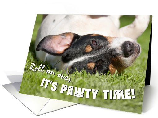 Dog Birthday Party Invite - Jack Russell Terrier Rolling... (801021)