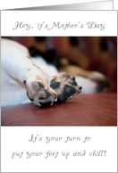 Mother’s Day Card - Sleeping Dog with Focus on Paws card