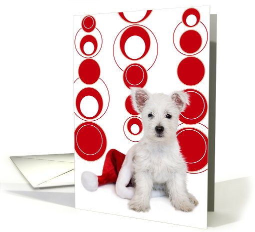 Christmas Card - West Highland Terrier Puppy and Santa Hat card