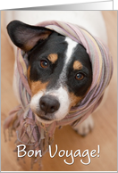 Bon Voyage Card - Cute Jack Russell Dog in Headscarf card