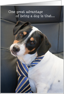Birthday Card - Humorous Dog Wearing a Tie card