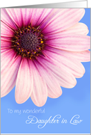 Daughter in Law Birthday Card - Light Pink Flower against a Blue Background card
