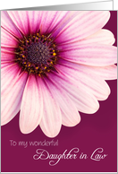 Daughter in Law Birthday Card - Light Pink Flower against a Burgundy Background card
