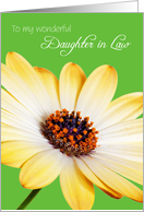 Daughter in Law Birthday Card - Sunny Flower against a Green Background card
