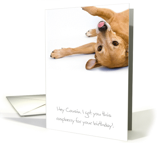 Cousin Birthday Card - Humorous, Dog Sticking out Tongue card (835964)