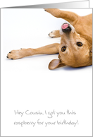Cousin Birthday Card - Humorous, Dog Sticking out Tongue card