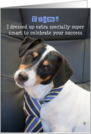 Exams Congratulations Card - Humorous, Dog Wearing Smart Tie card