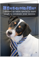 Congratulations Card - Humorous, Dog Wearing Smart Tie card