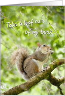Birthday Card - Nutty Squirrel card